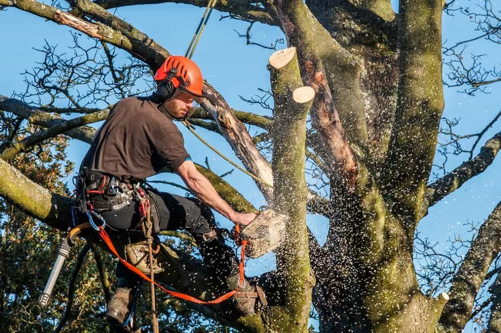 תנאי לפרויקט תמא 38 // shutterstock