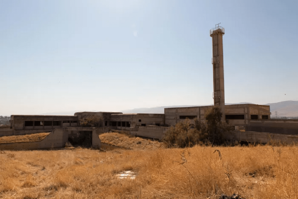 הפיל הלבן בבית שאן // דוברות עיריית בית שאן