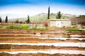 הקיבוצים מכרו אופציה לבנייה בתמורה ל-45,000 שקל ליח"ד // depositphotos