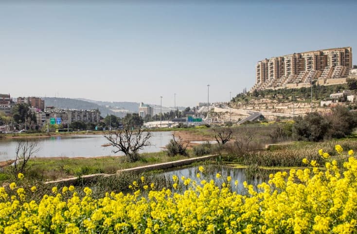 פארק הצבאים בירושלים // תכנון: רחל וינר // צילום: עמית גירון