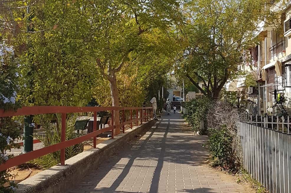 הבניינים הישנים בשכונה
