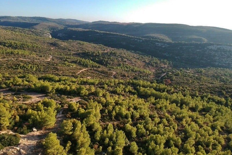 צילום עמותת שומרים על דניה