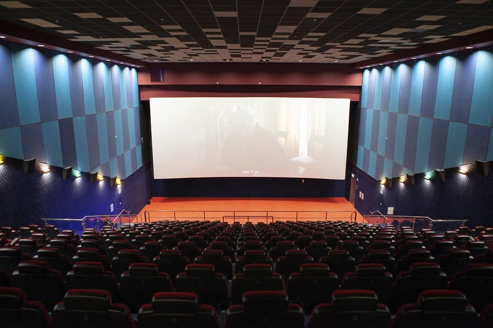 צילום: דוד חיון