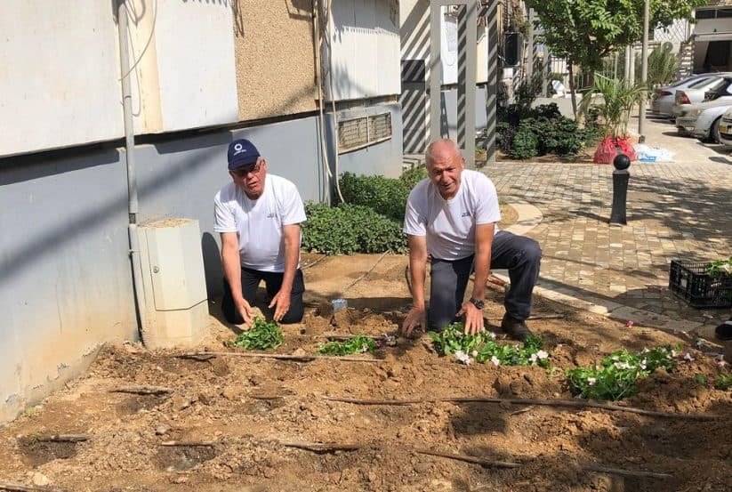 עמיגור // דוד פרץ
