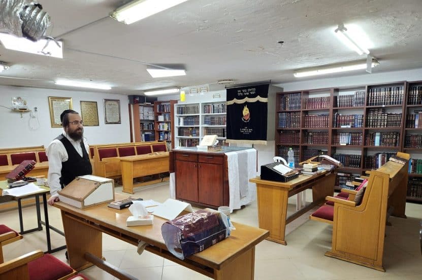 צילום: רונן דמארי