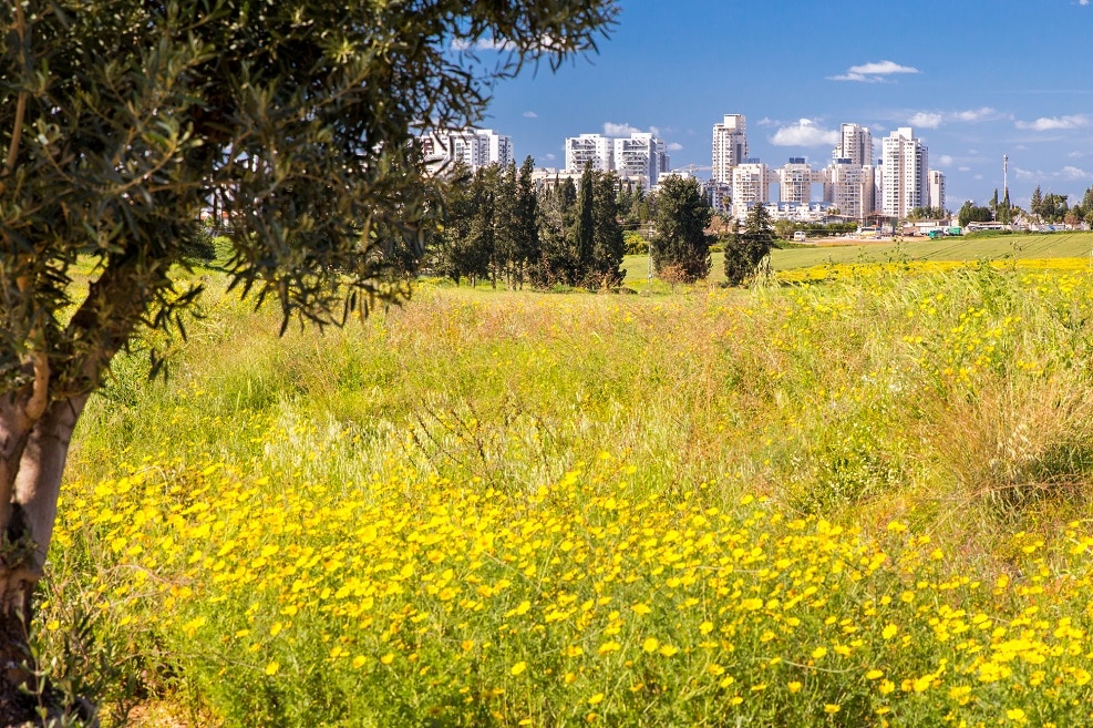 אילוסטרציה // Depositphotos