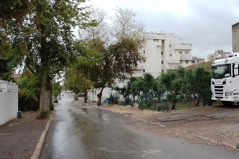 לוד // צילום: מגדילים