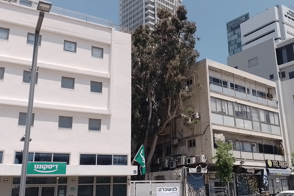 פרויקט יהודה הלוי בתל אביב // צילום: זיו גולדפישר