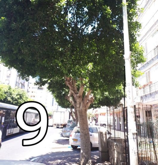 באדיבות חברת אבגד