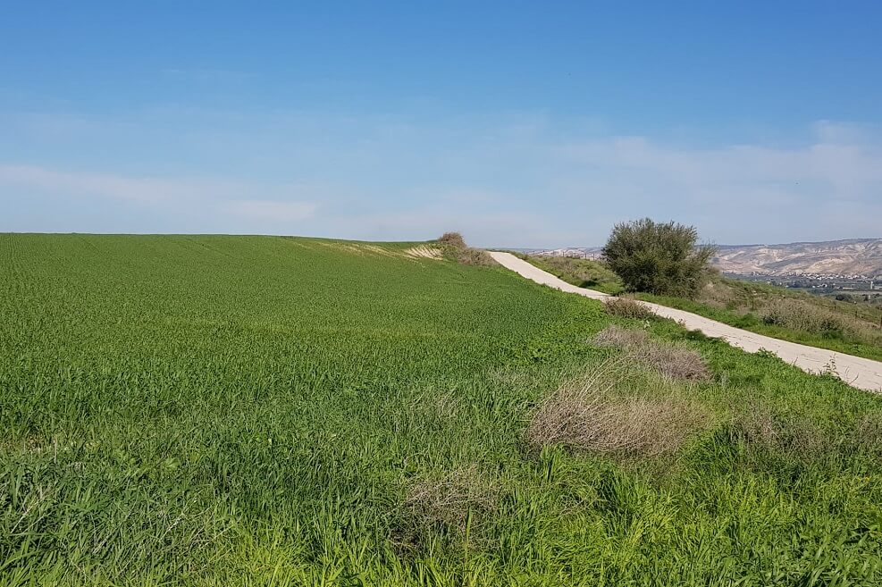 עמק המעיינות // צילום: באדיבות דוברות מועצה אזורית עמק המעיינות