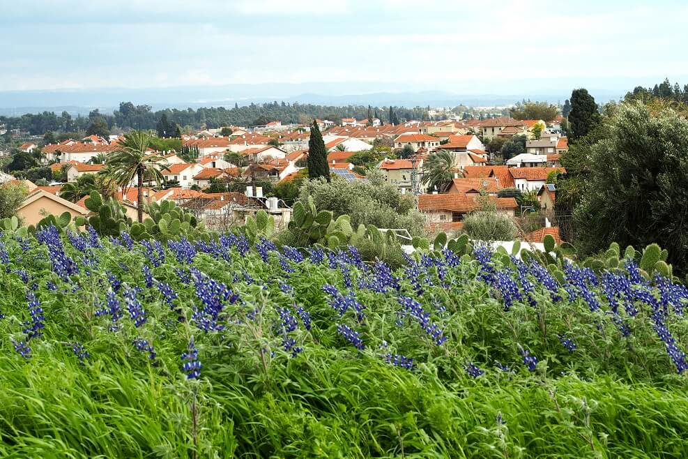 אילוסטרציה // Depositphotos