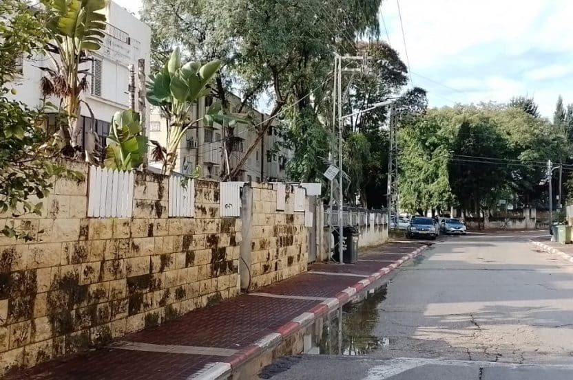 מתחם פינוי בינוי מסדה ברמלה // צילום: מגדילים