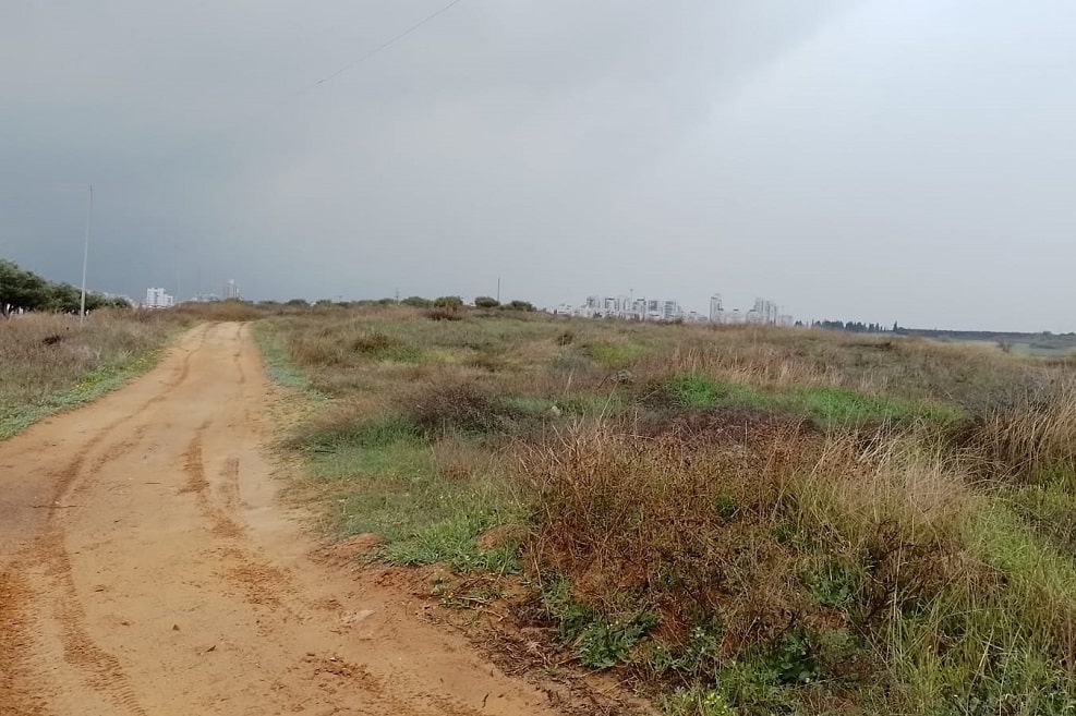 שטח התוכנית במזרח העיר // צילום: זיו גולדפישר