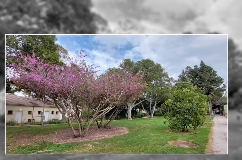 קיבוץ רעים // צילום: איתמר הלפרין