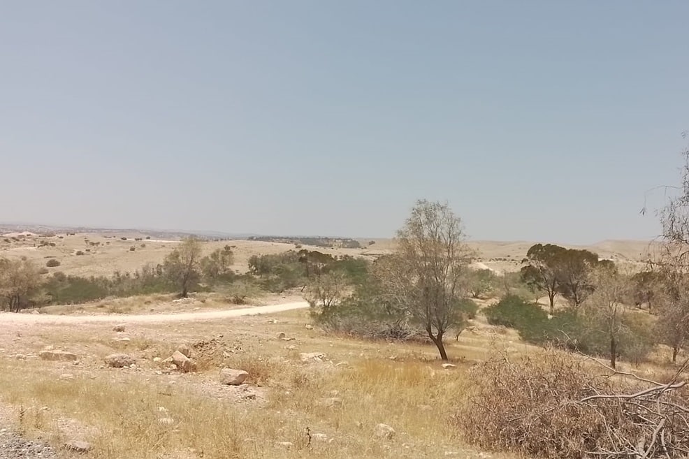 אילוסטרציה // מגדילים