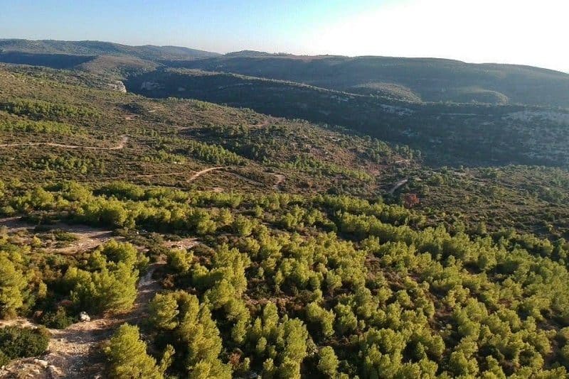 צילום עמותת שומרים על דניה