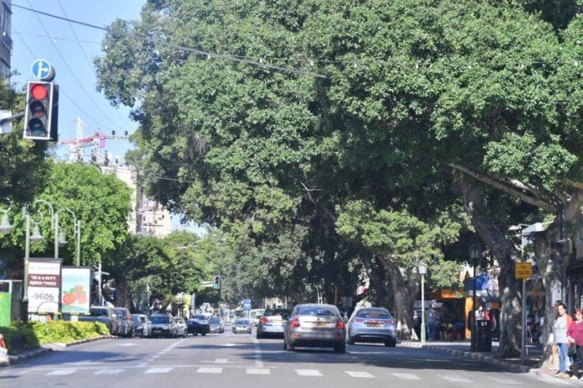 רחוב הרצל, רחובות // צילום: טל שחר