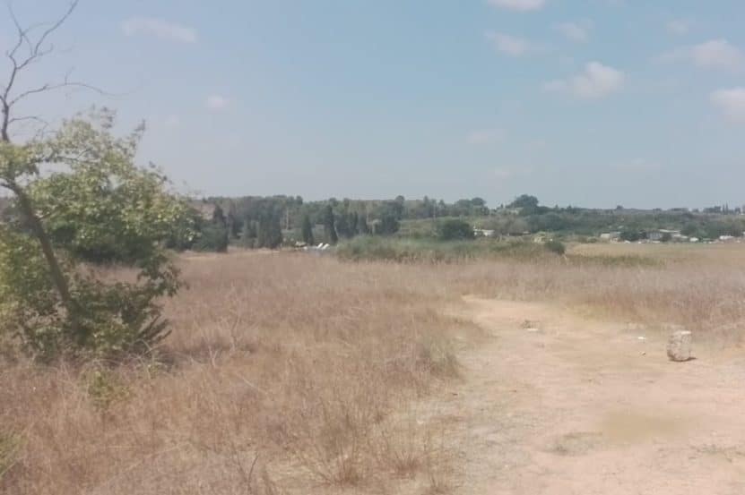 מתחם חרודי // צילום: מגדילים