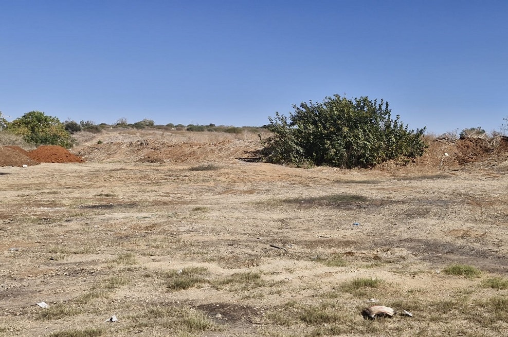 קרקע חקלאית בנס ציונה // צילום: מגדילים