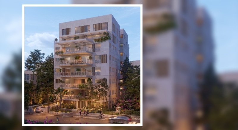 הדמיה: סטודיו אייקו ליושפה