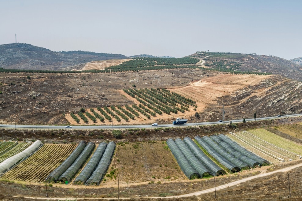 אילוסטרציה | Depositphotos