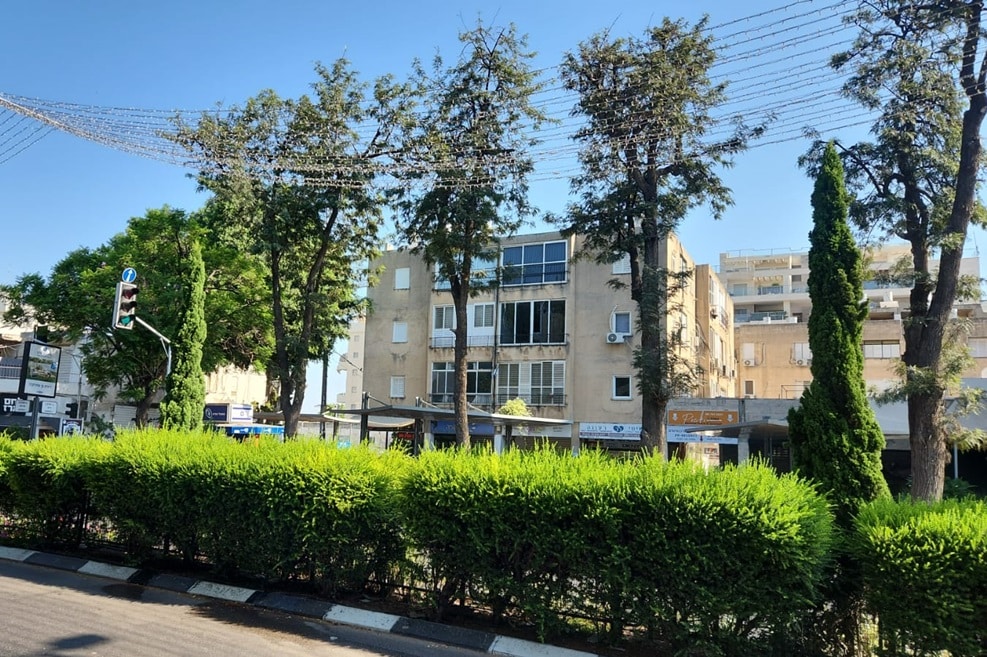 רחוב אחוזה // צילום: מגדילים