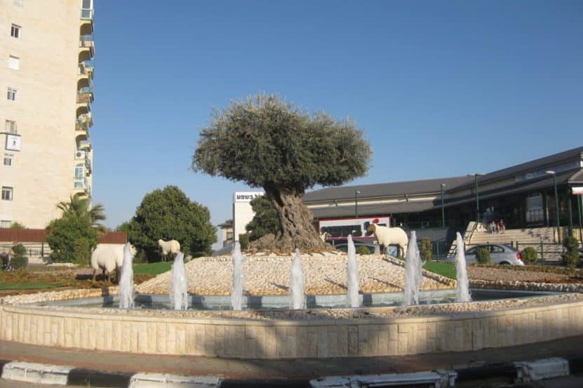 גבעת זאב //צילום: באדיבות דוברות מועצת גבעת זאב