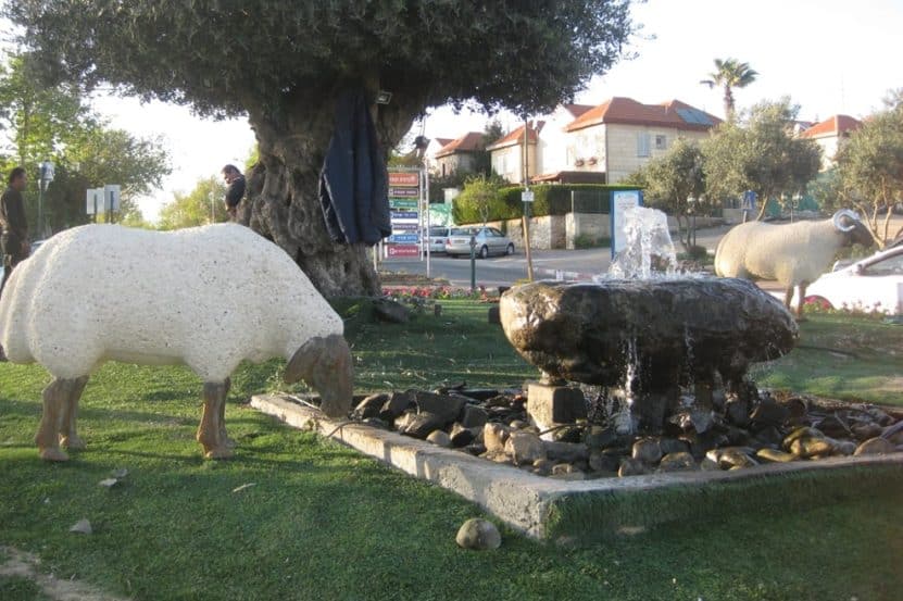 גבעת זאב //צילום: באדיבות דוברות מועצת גבעת זאב