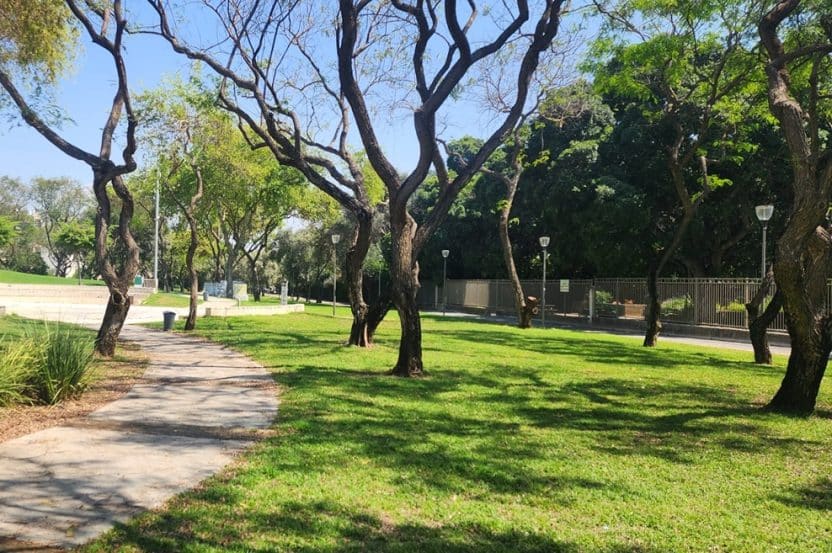 פארק הבנים בשכונת אפק, קרית ביאליק // צילום: באדיבות דוברות העירייה