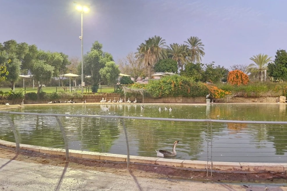 פארק הדרים רחובות // צילום: מגדילים