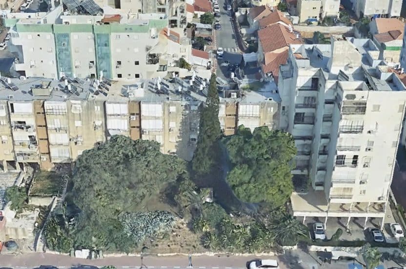 טשרניחובסקי וסעדיה גאון 4  רחובות // צילום: סימפלקס